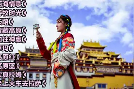 十首好听经典藏歌，来自高远纯净的天籁之音，仿佛在草原激情飞舞