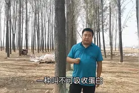 鹅痛风的解剖症状，以及病理表现在什么地方？该怎么用药预防？视频封面