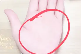 拥有这样手掌的男人，天生就是一个热心肠重情重义，忠于爱情视频封面