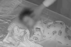 爸爸连续用力拍打孩子屁股 被妻子发现后声称“我哄她睡觉呢”视频封面