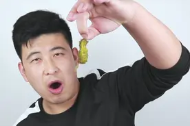 美食侦探之山蚕，把山蚕用辣椒爆炒后香辣美味，竟比蚕蛹还要好吃