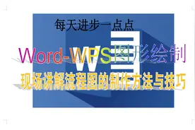 Word WPS 绘图，现场讲解流程图的制作方法与技巧视频封面