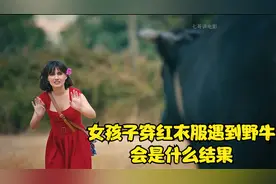 女孩穿红色衣服遇到牛会是什么结果视频封面