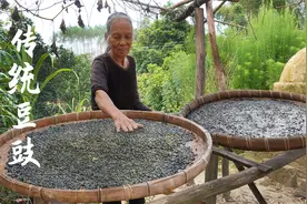 农村传统豆豉，10斤豆用8天发霉发酵，做一次能吃一年视频封面