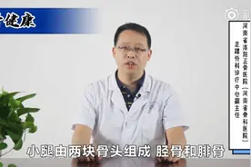 【骨健康】胫骨和腓骨的位置——苏攀视频封面
