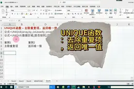 UNIQUE函数：去除重复项，返回唯一值