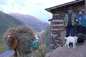 与大山为伴，割草牧羊，这就是俄罗斯的农民，最真实的生活视频封面