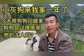 带着离家一年的狗回到原来的主人家，狗狗会不会忘了原来的主人