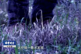 男子亲手灭自己满门，警方审问原因出人意料，只因饭不够吃视频封面
