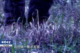 男子亲手灭自己满门，警方审问原因出人意料，只因饭不够吃视频封面