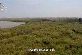 大美武汉：万类霜天竞自由视频封面