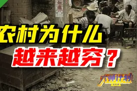 教育、医疗、住房三座大山，让农民怎么翻过去？视频封面