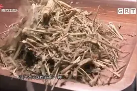 一道田基黄瘦肉汤，可帮肝病患者清肝解毒，利湿退黄|城事特搜