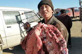 实拍坝上草原现宰骆驼肉多少钱一斤？大哥说出价格很意外，真便宜
