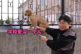 小亮发现村里奇怪现象，金毛感觉事有蹊跷，怀疑是防止人贩子出没视频封面