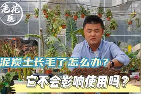 泥炭土长毛了怎么办？它不会影响使用吗？养花巧妙小知识！视频封面
