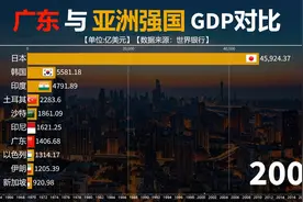 1960至2022广东省与各国GDP对比，你看粤哥能超过印尼吗视频封面