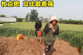 农村人有地就是闲不住，种完辣椒接着种花生，一年收成都靠这片地视频封面