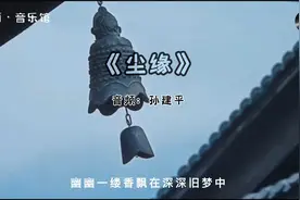 一曲《尘缘》道尽人间沧桑，任它花开花落。最好听的版本视频封面