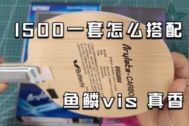 1500横板一套怎么搭配，鱼鳞纹vis搭配这2个胶皮，正反手真好用视频封面