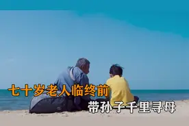 国产催泪佳作！七旬老人养了孙子八年，临终前带他千里寻亲视频封面