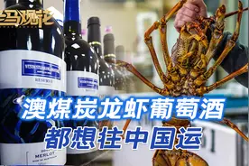 澳煤炭龙虾葡萄酒，都想往中国运，但想让中方接盘，没那么简单视频封面