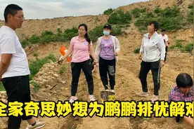 全家冒雨帮鹏鹏干活，中途困难重重，大家七嘴八舌想法解决真不易视频封面