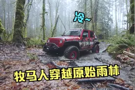 外面气温2度还下雨，驾驶牧马人穿越原始雨林，太喜欢这种感觉了视频封面
