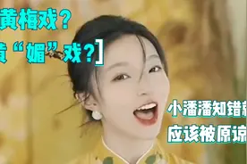 黄梅戏被改成”黄媚戏“？网红为红篡改国粹被央妈点名批评！视频封面
