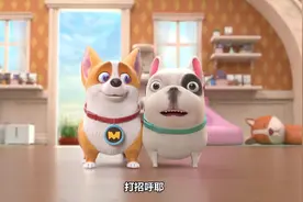 飞狗MOCO | 不懂装懂最为致命视频封面
