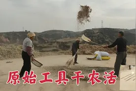 黄土高坡农村人，原始工具干农活，好多人没见过视频封面