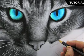 绘画初学者如何画出逼真的猫呢？希望这段视频对你有帮助视频封面