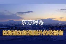 拉斯维加斯规则外的收割者视频封面