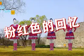 经典歌曲《粉红色的回忆》夏天夏天悄悄过去，歌曲动人，舞蹈好看视频封面