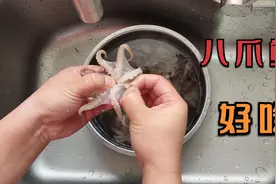 八爪鱼你还用水煮吗？卖鲜老板告诉余月，这样清蒸简单清脆又好吃