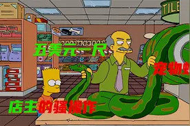 宠物蛇还能这样买？每一尺五美元，要多长有多长！《辛普森一家》视频封面
