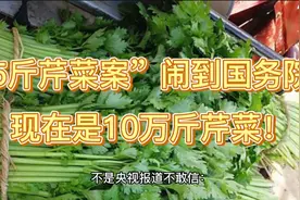 “5斤芹菜案”闹到国务院？现在是10万斤芹菜！视频封面