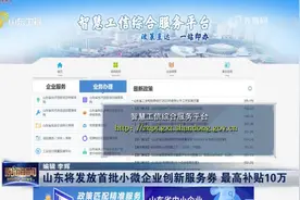 最高补贴10万！山东将发放首批小微企业创新服务券，申领方式看这视频封面