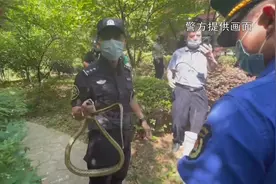 考场门前树上出现长蛇 特警队员徒手捕捉视频封面
