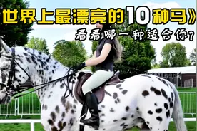 世界上最漂亮的10种马，看看哪一种适合你？视频封面
