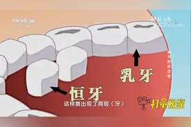 孩子到了换牙期，新牙长出来了，乳牙却不掉，该咋办？|科技之光视频封面