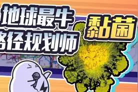 单细胞生物智慧“超越”人类？真实版史莱姆了解一下视频封面