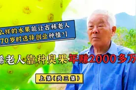 古稀老人70岁才创业，却靠一种又臭又硬的水果，年赚2000多万！①视频封面