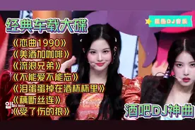 车载音乐 ，酒吧夜店10首DJ洗脑神曲《流浪兄弟》《受了伤的狼》