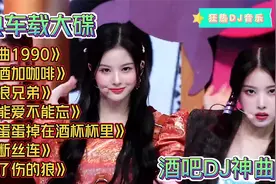 车载音乐 ，酒吧夜店10首DJ洗脑神曲《流浪兄弟》《受了伤的狼》