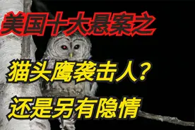 美国十大悬案之猫头鹰伤人，历经17年。是含冤昭雪还是另有隐情？视频封面