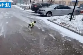 哈尔滨雪天一小狗在马路上滑行  狗狗：我是谁我在哪？视频封面