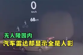 清明节到了，男子汽车雷达在无人陵园内显示全是人影，什么情况？视频封面