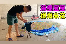 小伙把海绵宝宝装进爆米花机，开炸的时候腿一直哆嗦！视频封面