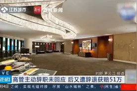 高管主动辞职未回应 后又遭辞退获赔51万视频封面